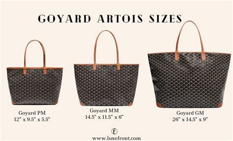 Goyard Artois (PM, MM & GM) – Complete Guide and Review 